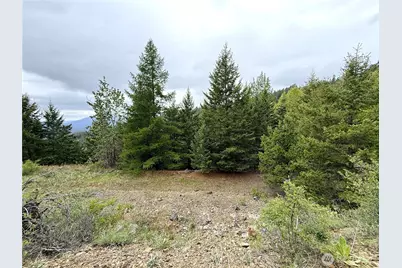 0 Pontiac Ridge Road, Oroville, WA 98844 - Photo 21