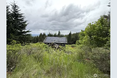 0 Pontiac Ridge Road, Oroville, WA 98844 - Photo 9