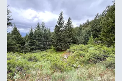 0 Pontiac Ridge Road, Oroville, WA 98844 - Photo 5
