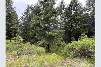 0 Pontiac Ridge Road, Oroville, WA 98844 - Photo 7