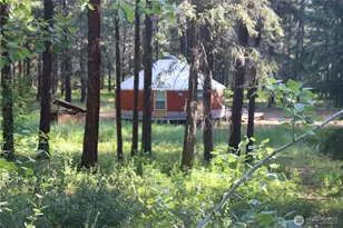 39 Ulrich Ln, Mazama, WA 98833 - Photo 31
