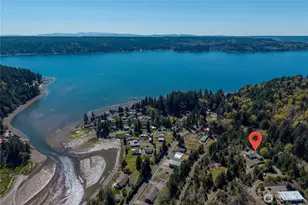 151 NE Myrlis Joy Dr, Tahuya, WA 98588 - Photo 35