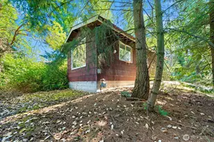 17552 12th Ave NE, Shoreline, WA 98155 - Photo 13
