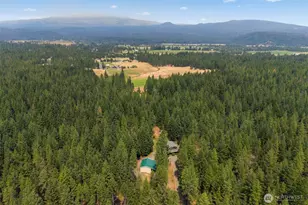 19 Lois Ln, Trout Lake, WA 98650 - Photo 39