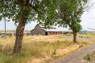 653 Road O NE, Coulee City, WA 99115 - Photo 29