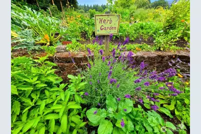 741 N 67th Street, Seattle, WA 98103 - Photo 33