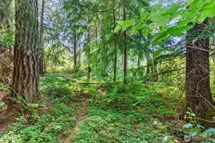1788 Nelson Rd, Raymond, WA 98577 - Photo 27