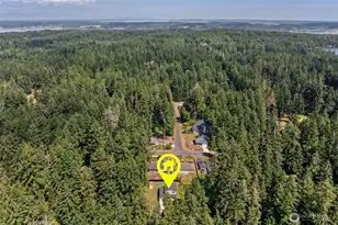 10912 118th Ave Ct E, Anderson Island, WA 98303 - Photo 29