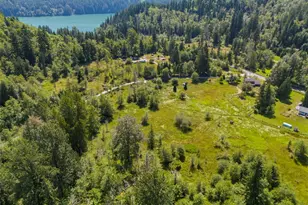 12305 523rd St E, Eatonville, WA 98328 - Photo 33