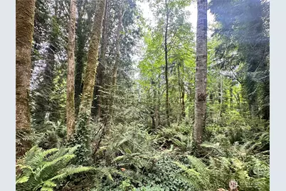 0 Alder, Indianola, WA 98342 - Photo 3