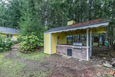 117 Butter Creek Lane, Packwood, WA 98361 - Photo 33