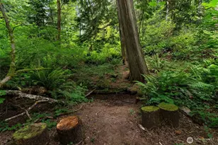 5412 43rd Ave NW, Gig Harbor, WA 98335 - Photo 31