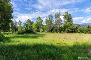 517 Lufkin Ln, Winthrop, WA 98862 - Photo 19