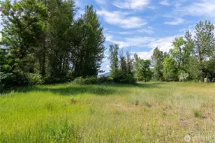 517 Lufkin Ln, Winthrop, WA 98862 - Photo 21