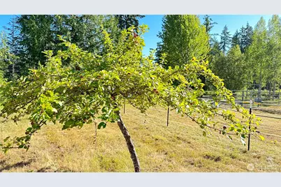 11 E Michigan School Road, Sequim, WA 98382 - Photo 3