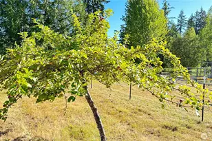11 E Michigan School Rd, Sequim, WA 98382 - Photo 3