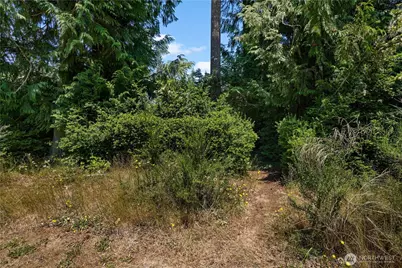 3014 175th Avenue NW, Lakebay, WA 98349 - Photo 29