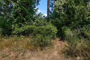 3014 175th Ave NW, Lakebay, WA 98349 - Photo 29
