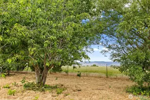 191 McCoy Drive, Ellensburg, WA 98926 - Photo 35