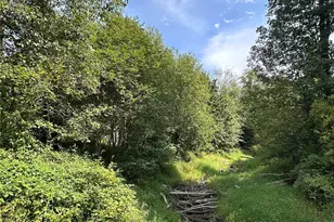 380 Williams Creek Rd, Oakville, WA 98568 - Photo 35