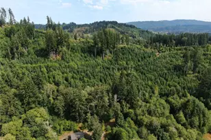 380 Williams Creek Rd, Oakville, WA 98568 - Photo 37