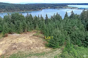 1 I Triangle Cove Ln, Camano Island, WA 98282 - Photo 1