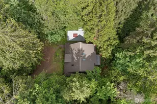 315 Coyote Rd, Brinnon, WA 98320 - Photo 39