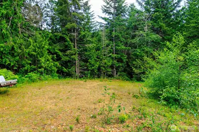 129 Valley View Lane, Brinnon, WA 98320 - Photo 3