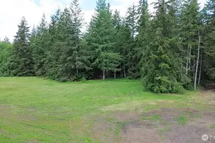 32 Lynch Rd, McCleary, WA 98557 - Photo 25
