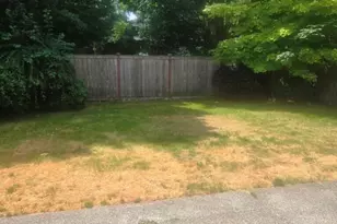 23617 SE 243rd Pl, Maple Valley, WA 98038 - Photo 13