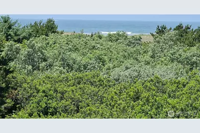615 Ocean Shores Boulevard NW #318, Ocean Shores, WA 98569 - Photo 5