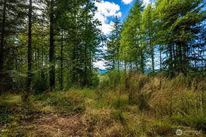 673 Curtis Hill Road #67, Chehalis, WA 98532 - Photo 3