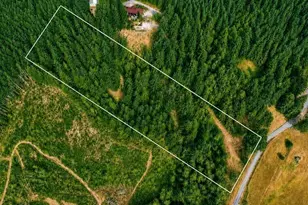 673 Curtis Hill Rd, Chehalis, WA 98532 - Photo 1