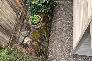 2645 NW 57th St, Seattle, WA 98107 - Photo 3