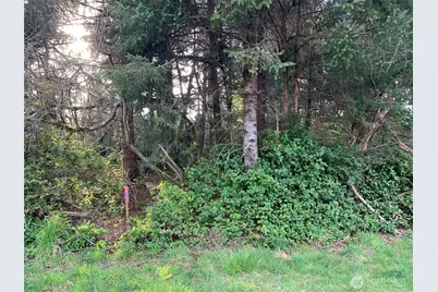 609 Weatherwax, Ocean Shores, WA 98569 - Photo 3
