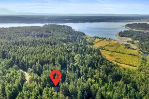 12012 Sound Dr, Anderson Island, WA 98303 - Photo 37