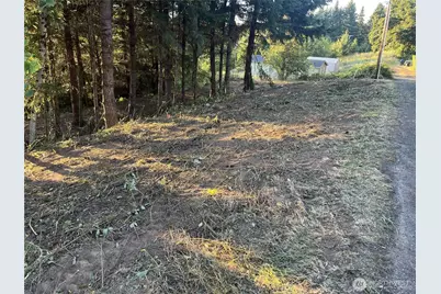 0 NE Jabez Street, Winlock, WA 98596 - Photo 3