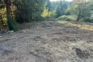 0 NE Jabez St, Winlock, WA 98596 - Photo 1