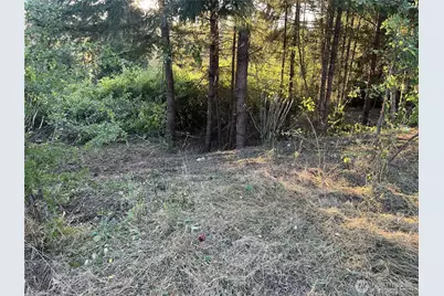 0 NE Jabez Street, Winlock, WA 98596 - Photo 5