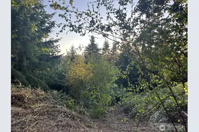 0 NE Jabez Street, Winlock, WA 98596 - Photo 9