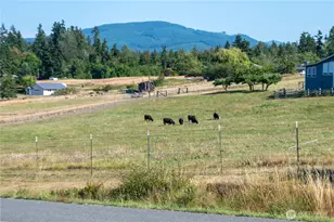 11 Les Saints Rd, Sequim, WA 98382 - Photo 5