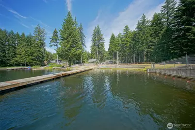 161 E Tenby Way, Shelton, WA 98584 - Photo 37
