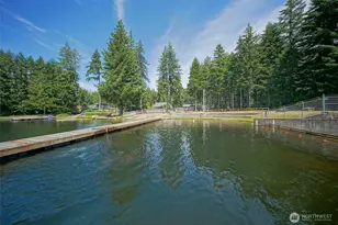 161 E Tenby Way, Shelton, WA 98584 - Photo 37
