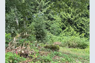 1234 NE 11th Avenue, Poulsbo, WA 98370 - Photo 5