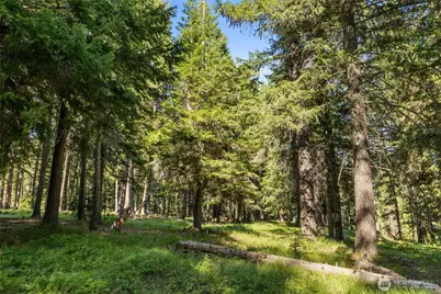 432 Hub Lane, Cle Elum, WA 98922 - Photo 29