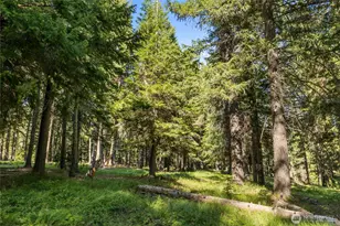 432 Hub Ln, Cle Elum, WA 98922 - Photo 29