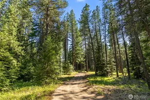 432 Hub Ln, Cle Elum, WA 98922 - Photo 33