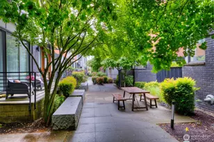 3834 California Ave SW, Seattle, WA 98116 - Photo 5