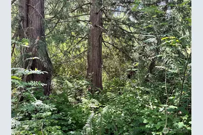 0 43rd Avenue SE, Everett, WA 98201 - Photo 19
