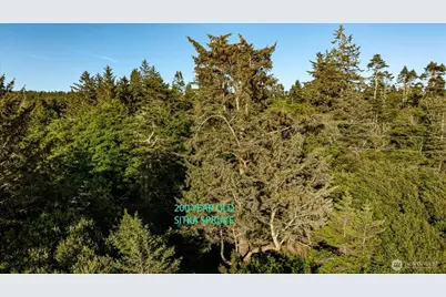 0 West Beach Road, Oak Harbor, WA 98277 - Photo 21